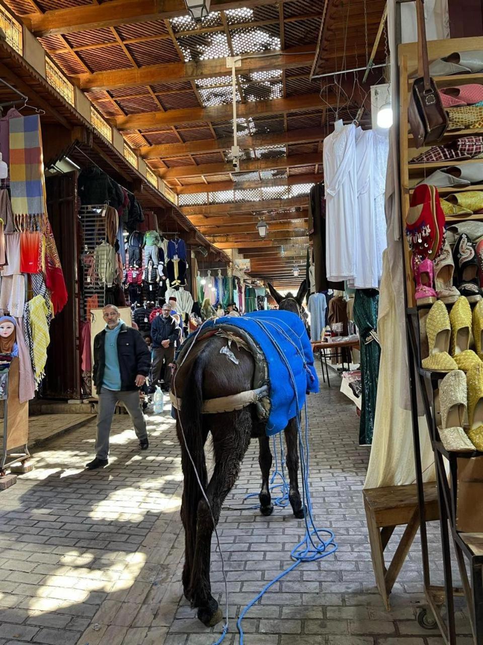 Dar Mima Hotel Fez Kültér fotó
